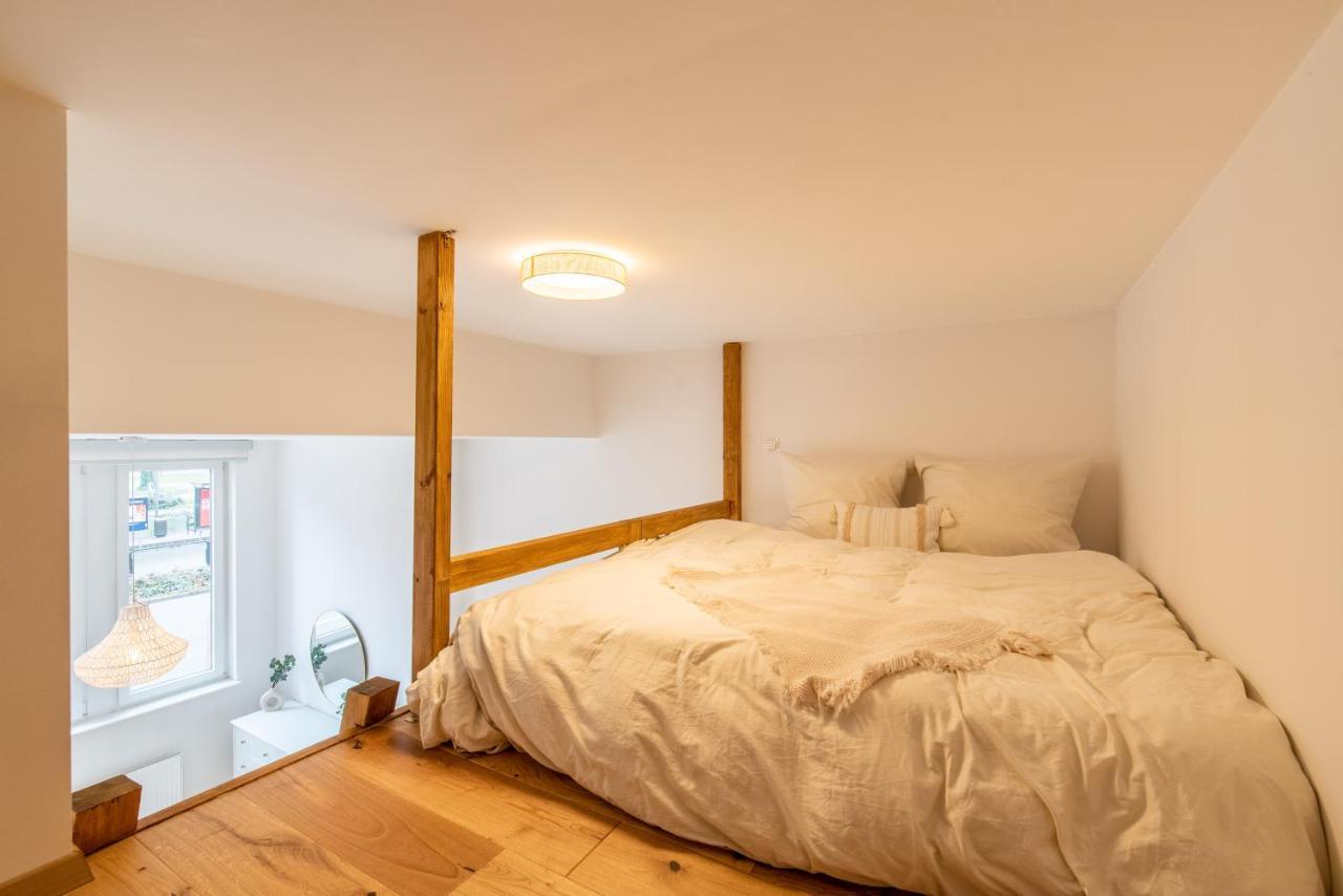 Casita Loft Lejlighed Ludwigshafen am Rhein Eksteriør billede